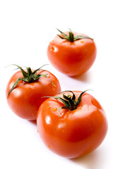 tomatoes