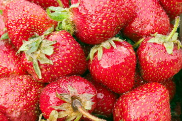 strawberries fresh