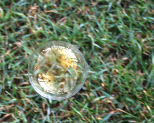 bubble