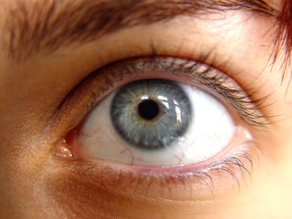 eye