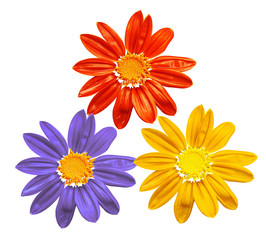 three sunny flowers