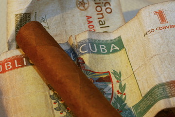 havana cigar