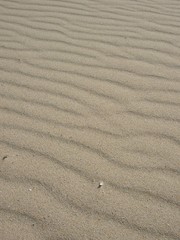 Fototapeta premium vague de sable