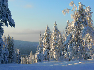 lapland
