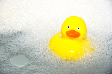 rubber duck