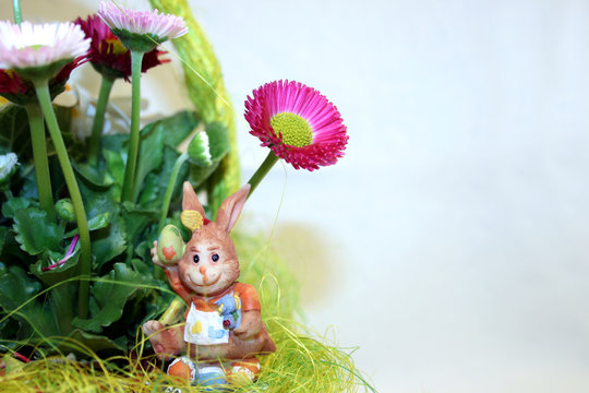 hasi unter blumen