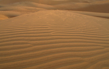 sand wave #2