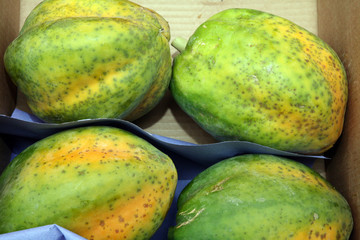 papaya