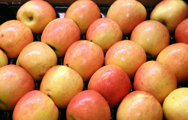 apples
