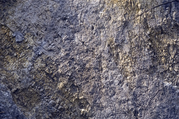 nature background