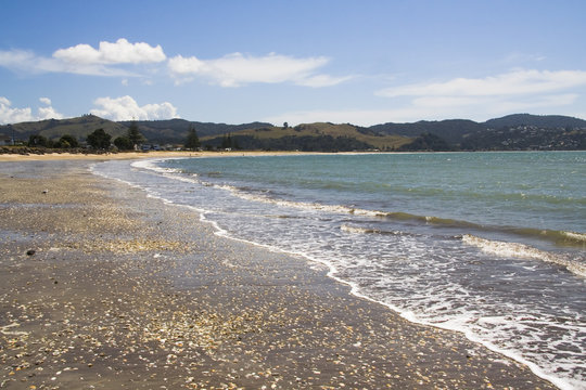 buffalo beach seashells new zealand
