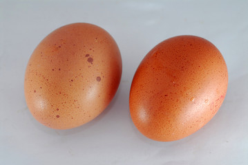 eggs