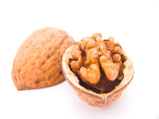 opened walnut