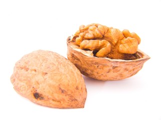 walnut