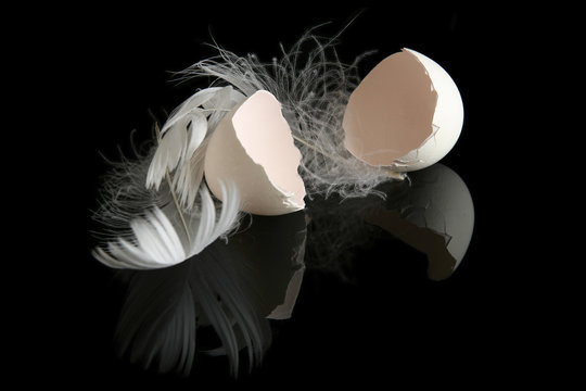 egg on black