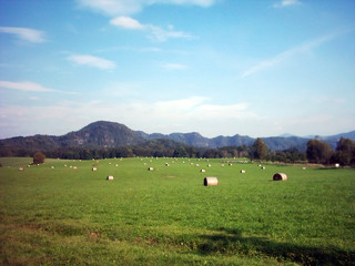 field after harvest