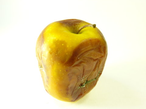 รูปภาพPourrie เลือกดูภาพถ่ายสต็อก เวกเตอร์ และวิดีโอ208 Adobe Stock