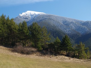 mountain and trees