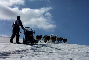 oravasnow 2007 hundrennen