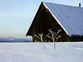 winterhütte