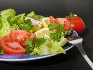 summer salad