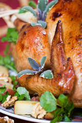 crispy turkey
