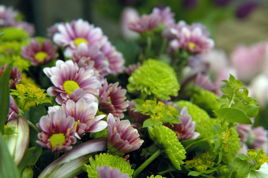 bouquet de fleurs