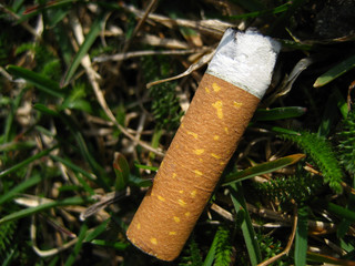 zigarettenstummel