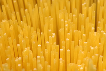 spaghetti