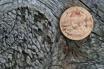gold coin,