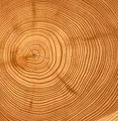 Cercles muraux Bois texture de coupe en bois