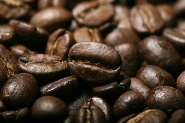fresh coffee beans