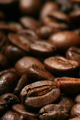 fresh coffee beans