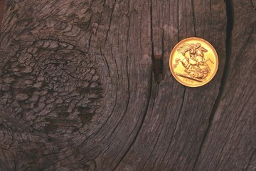 gold coin,english