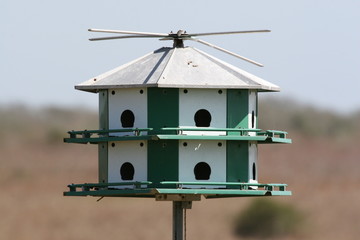 bird house