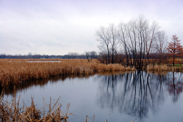 medwest  in the month of april