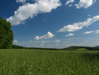 Fototapeta na wymiar Słowacja krajobrazoweg