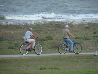 bikes at the seashore