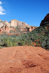 sedona landscape