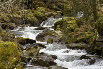 Fototapeta premium canal et rivière 040