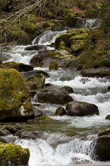 canal et rivière 039