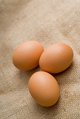 eggs on hessian