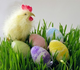 rooster and easter-eggs
