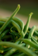 Obraz premium green close up