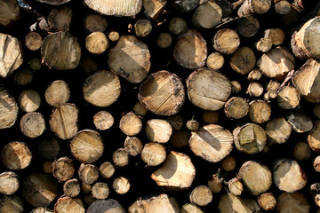 stacked logs 2