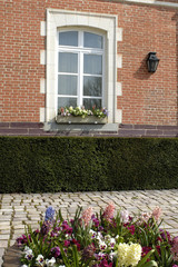 fenêtre fleurie