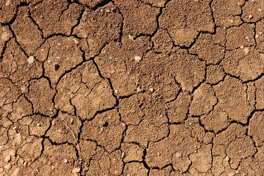 soil