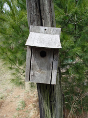 birdhouse