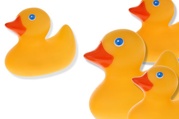 group of yellow rubber ducks