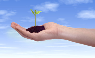croissance growth
